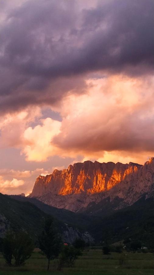 Mountain Cottage Komarnica Savnik Ngoại thất bức ảnh